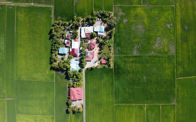 Дізнатись більше про Земельні ділянки та ДЗК